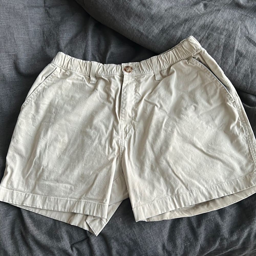 Chubbies Shorts
